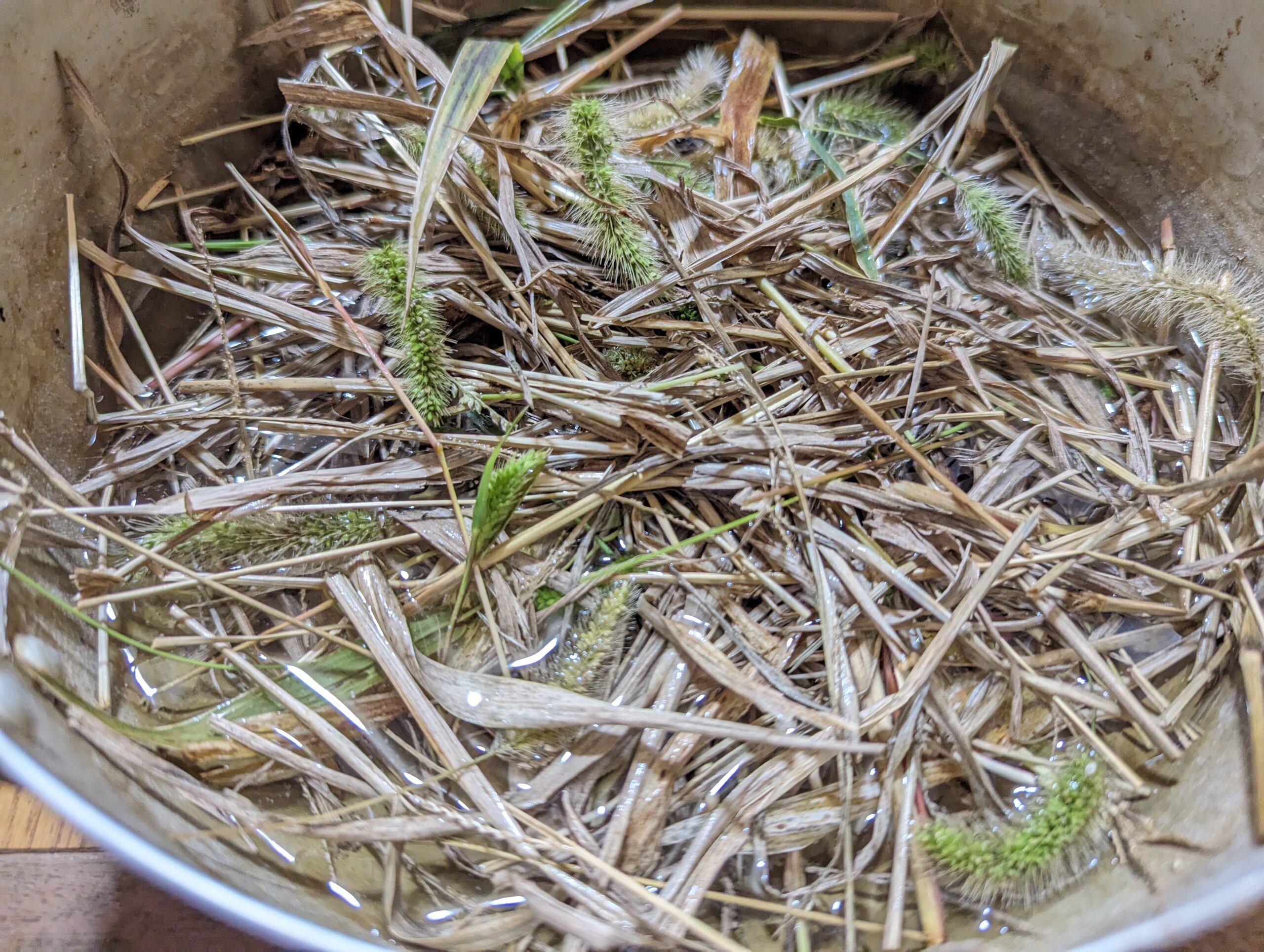 鍋で茹でる