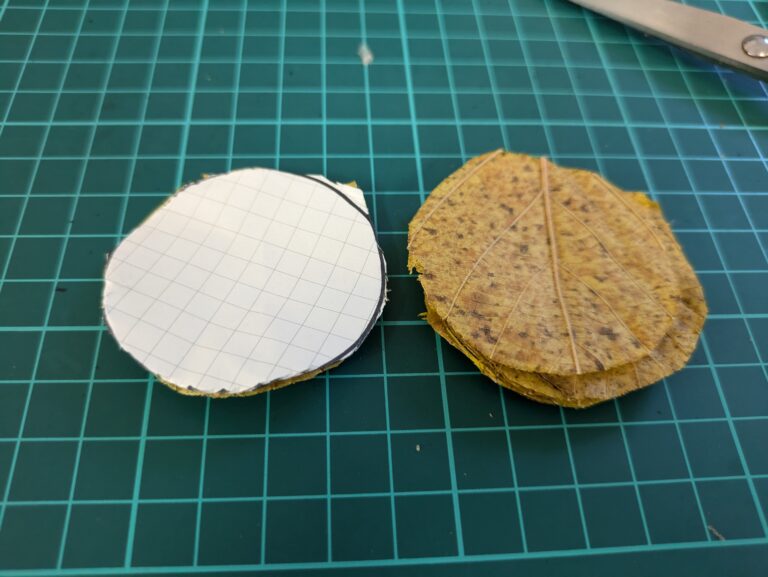 丸く切った葉っぱ