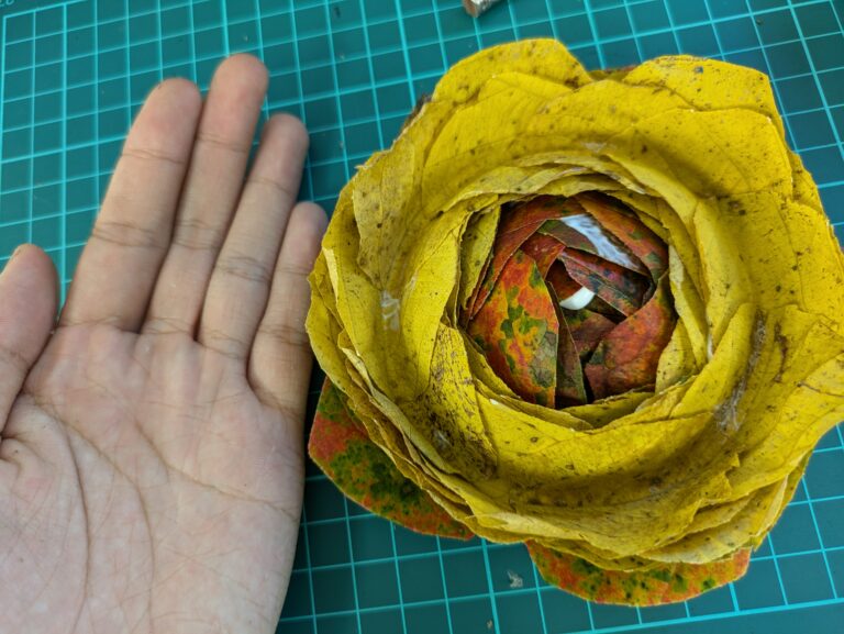 丸い葉っぱのお花