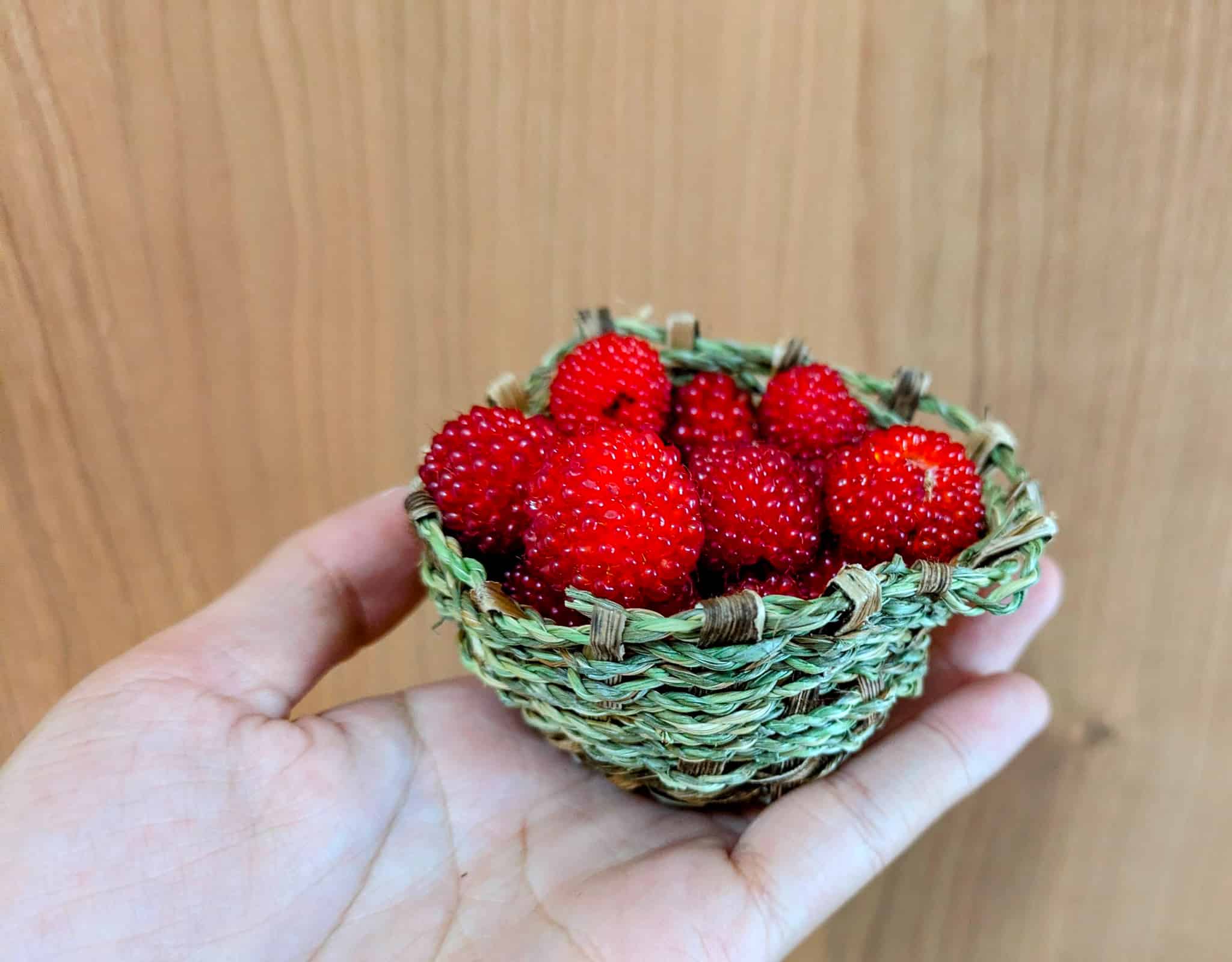 野イチゴのカゴ